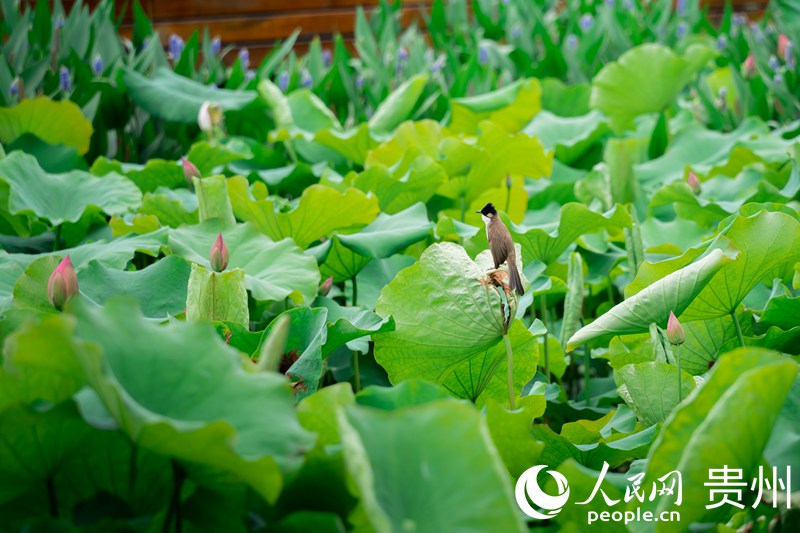 R塰ĢС悡^ĺɻ؃СBվں~ϳW Ϳz