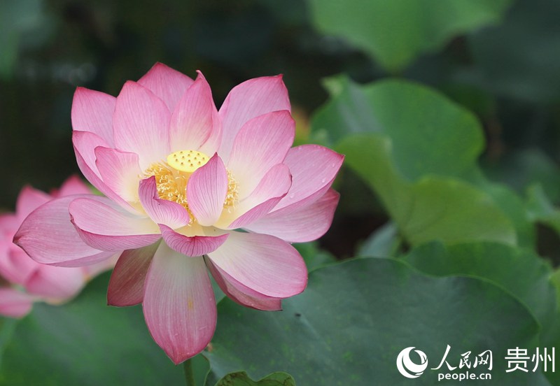 ʮӞ`ŵĺɻW mƔz