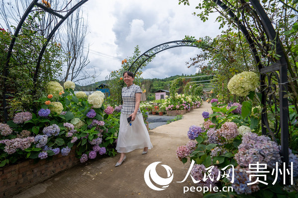 游客在蓬萊村村民自建的花圃內游玩。人民網 涂敏 攝.jpg