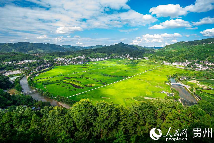 被清龍河環繞的底窩壩壩區。人民網 涂敏攝