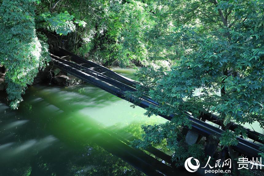 阿哈湖公園美景。人民網 顧蘭云攝