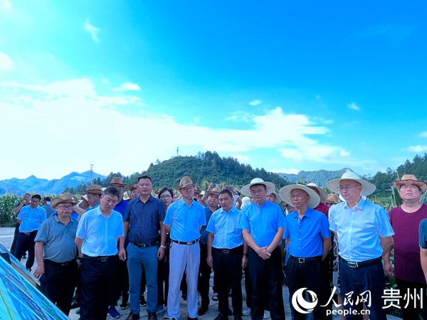 觀摩鮮食玉米標準化生產示范現場。人民網 陳潔泉攝