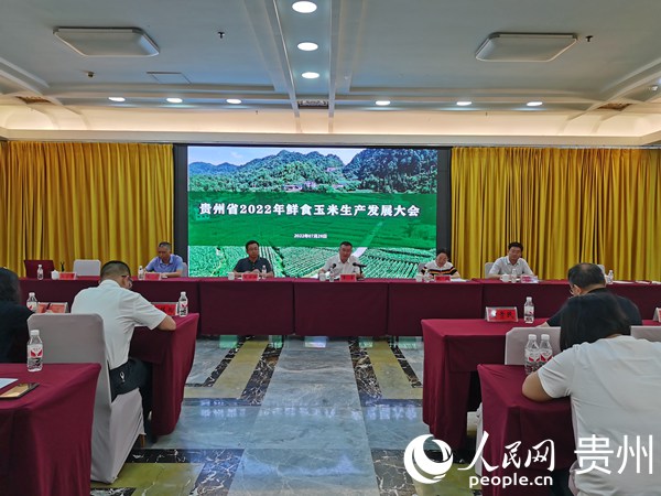 會議現場。人民網 陳潔泉攝