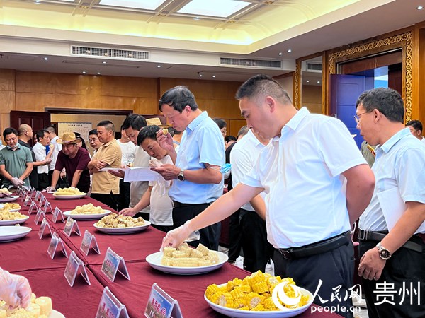 鮮食玉米品鑒會現場。人民網 陳潔泉攝