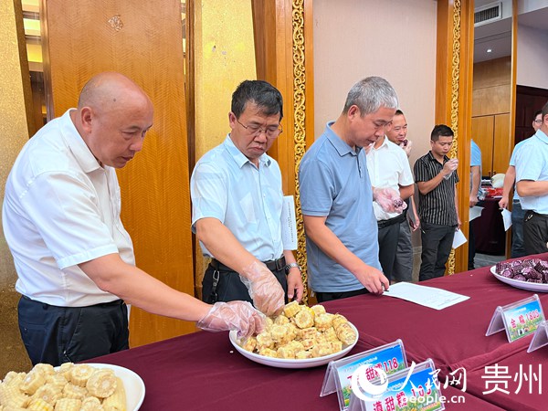 鮮食玉米品鑒會現場。人民網 陳潔泉攝