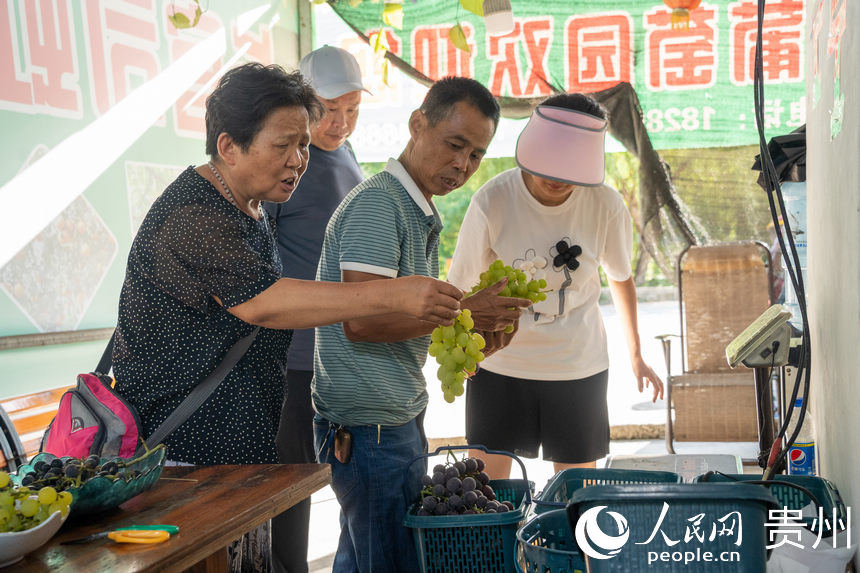 汪令章在為游客采摘的葡萄稱重。人民網 涂敏攝