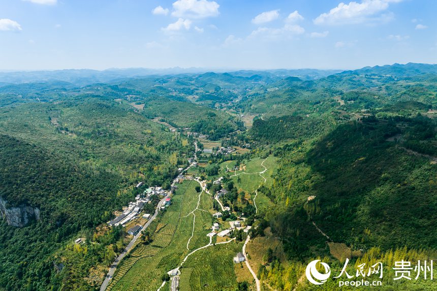 航拍孫源才的金秋李園。人民網 涂敏攝