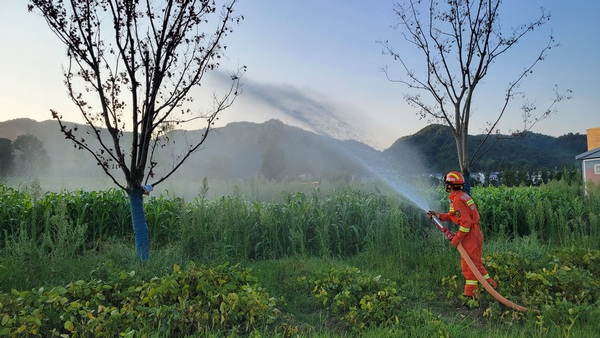 高溫天氣持續 西秀消防全力保秋收。