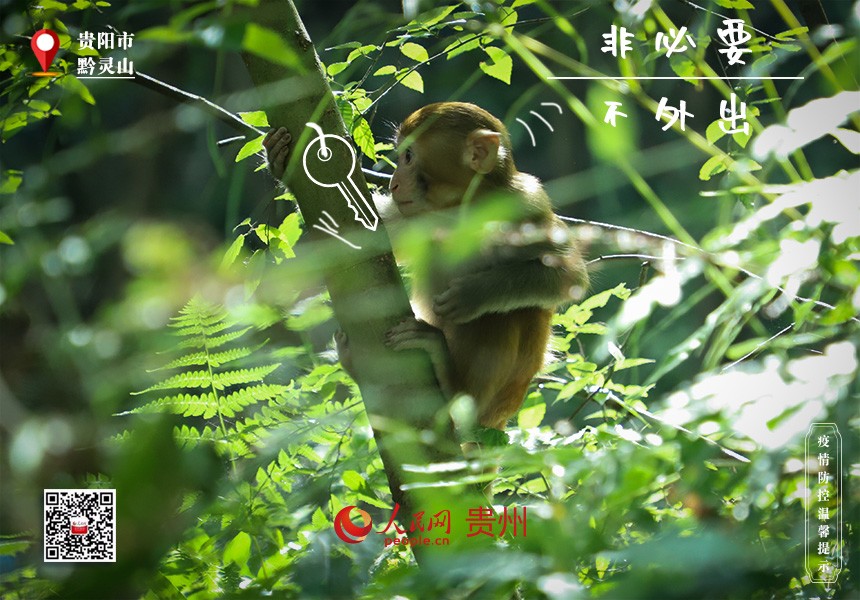 還是在“家里”舒服，有吃有喝有樂！