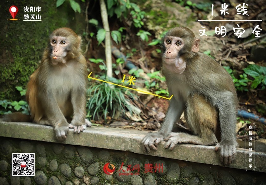 就算約會，也要遵守“1米線”