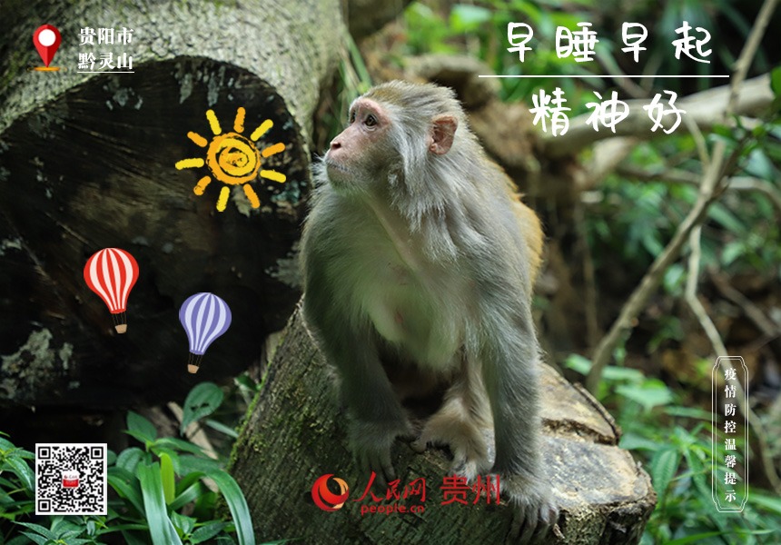 想長壽，作息規律才是王道