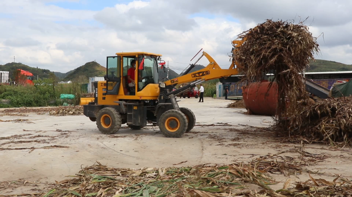 西秀區大西橋鎮：秸稈利用好 增收又環保。