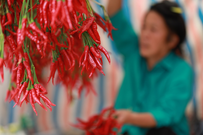 9月21日，村民在晾曬辣椒。