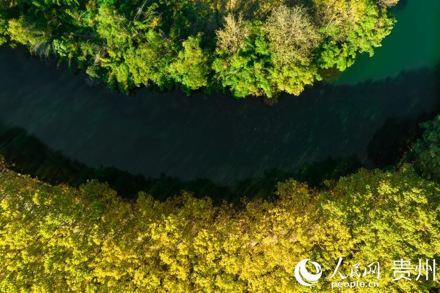 俯瞰黃金大道。人民網 陽茜攝