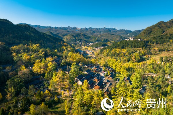 航拍秋日的妥樂村。人民網 陽茜攝