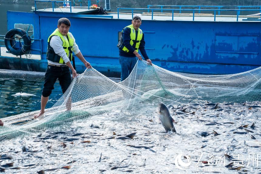 起捕儀式現場。人民網記者 涂敏攝