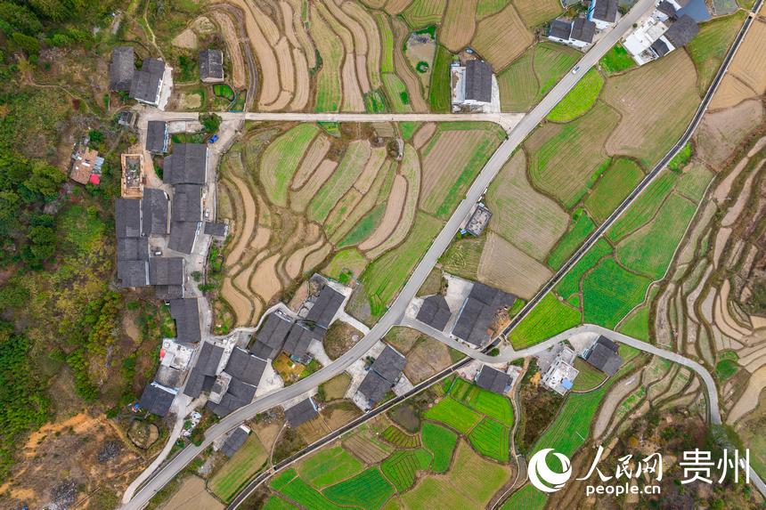 航拍洪江“藝術”村。人民網記者 涂敏攝