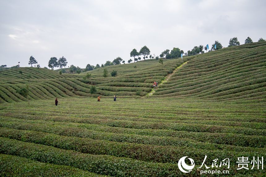 比賽現場。人民網記者 涂敏攝
