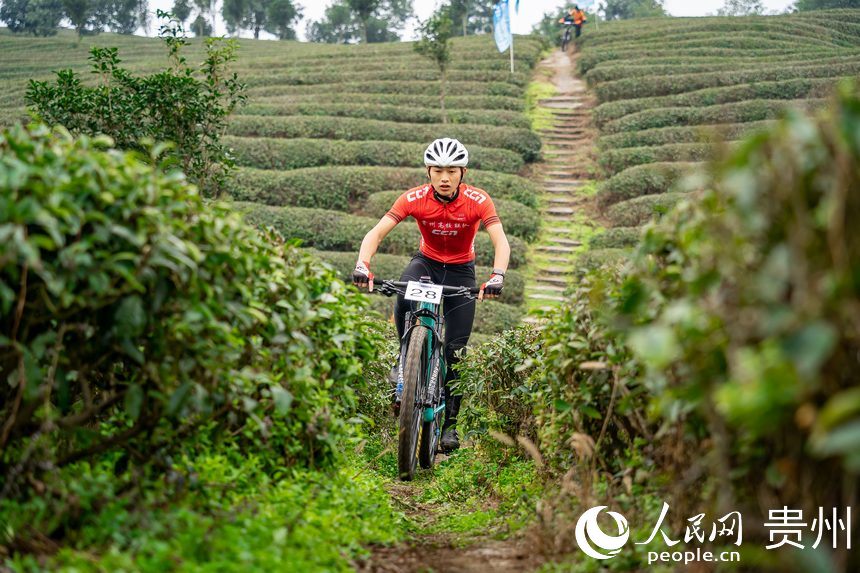 騎行在茶園小徑中的運動員。人民網記者 涂敏攝