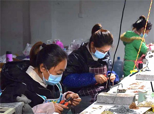 貴州納雍:村里建起加工廠 家門口就業增收_副本