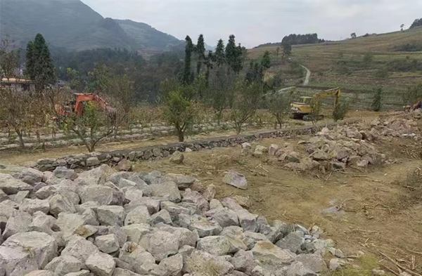 桐梓縣九壩鎮推進高標準農田建設。貴州省農業農村廳供圖