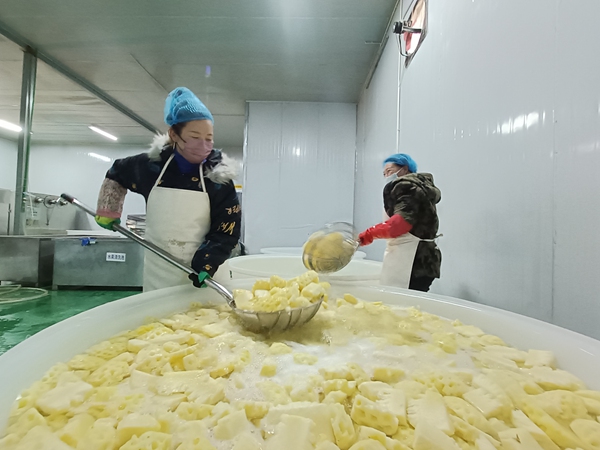 工人在清洗菠蘿。