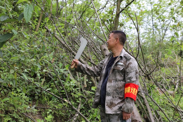 護林員正在巡邏。