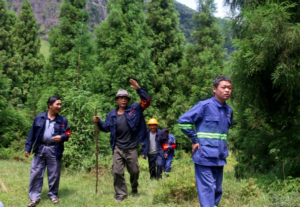 護林員在巡林。