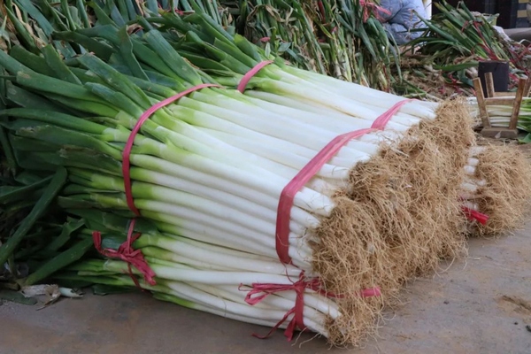 春節期間畢節市物資供應充足。