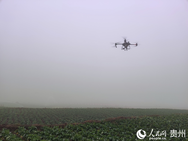 植保無人機噴灑作業演示。人民網 李麗萍攝