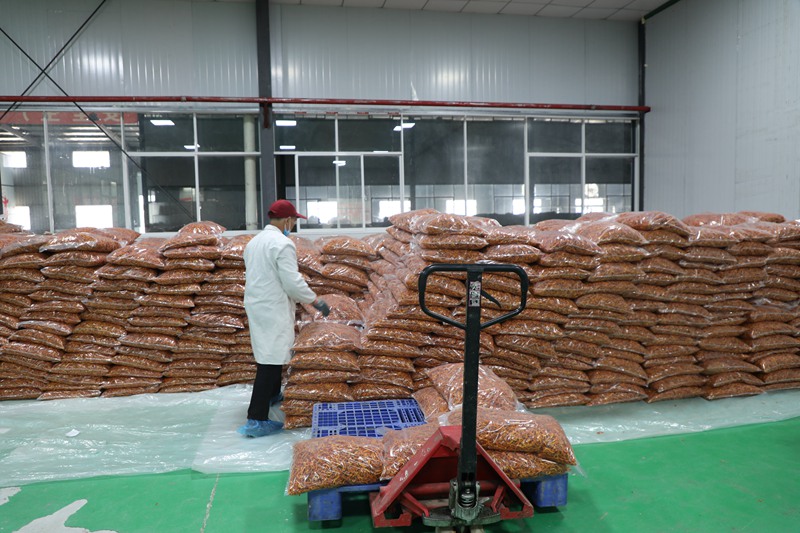 田間種出“金南瓜”，產業振興群眾 夸