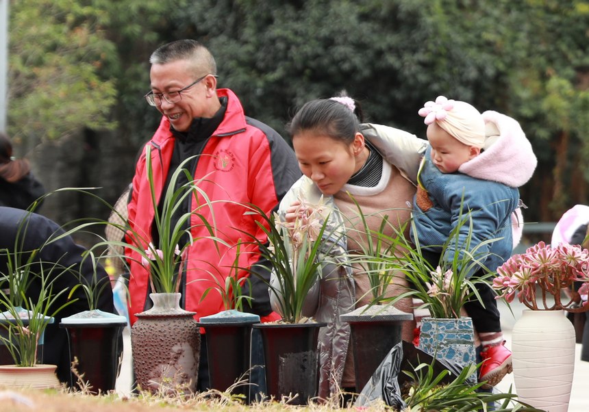 劍河縣舉行的迎春蘭花展活動現場。