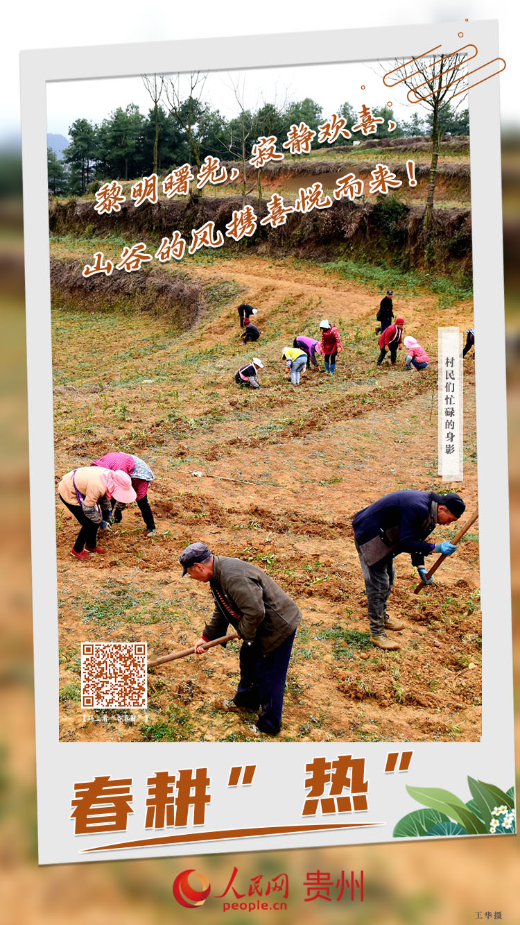 黎明曙光，寂靜歡喜，山谷的風攜喜悅而來！