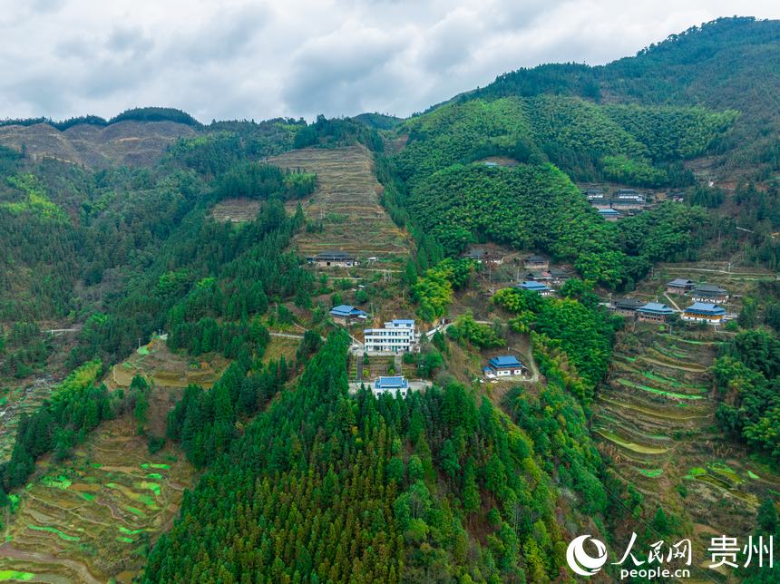 俯瞰西山鎮中寨教學點。人民網 陽茜攝