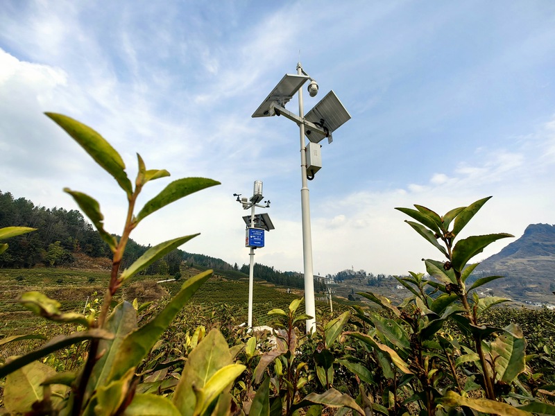“白葉一號”基地安裝上了高清數字攝像頭。 多彩貴州網供圖.jpg