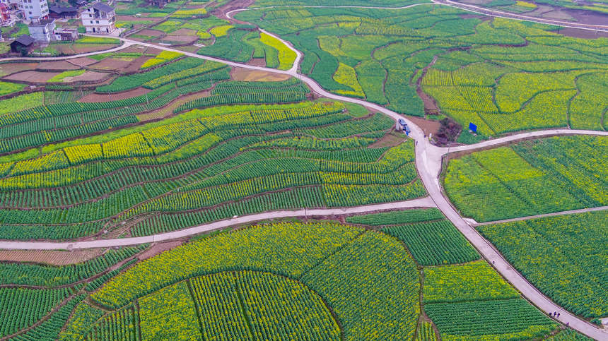 圖為萬元村東山壩區局部。