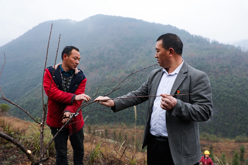 全國人大代表，貴州省石阡縣龍塘鎮困牛山村黨支部書記、村委會主任鞠華國（右）與群眾交流果園管護。楊葉攝