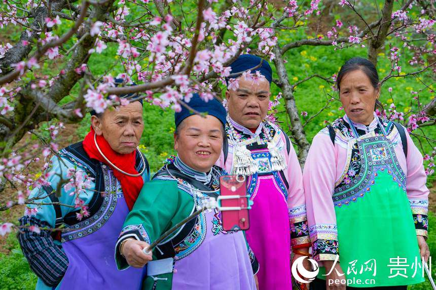 游客在桃花林中賞花拍照。人民網 陽茜攝