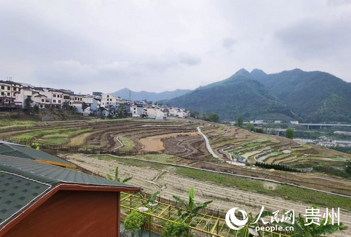 新屯村一隅。人民網 王秀芳攝