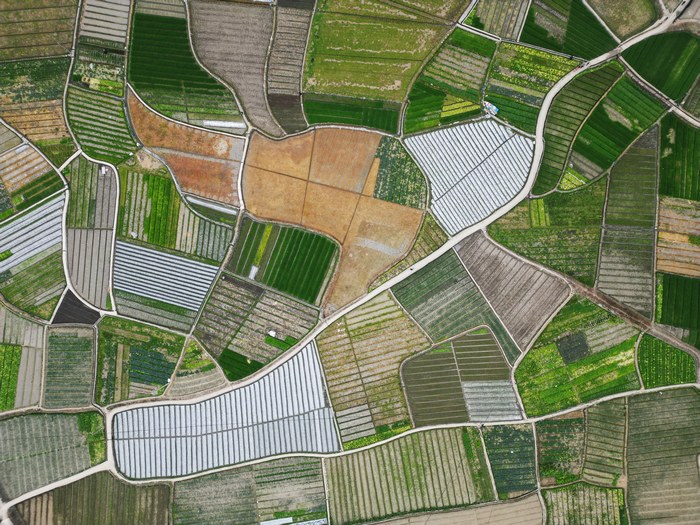 凱里市下司鎮花橋村的蔬菜基地。