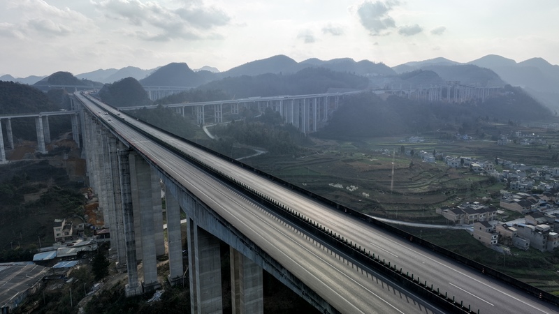 春日時節的金沙特大橋。陳雪攝