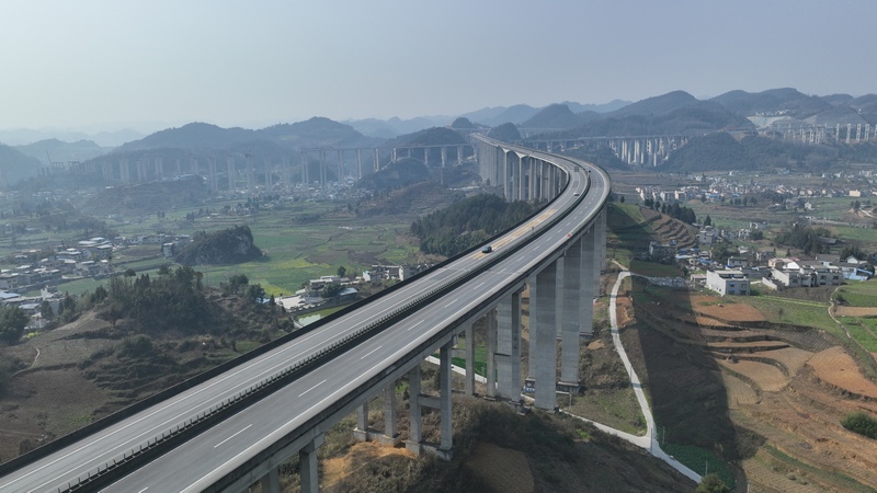 春日時節的金沙特大橋。吳艷禹攝