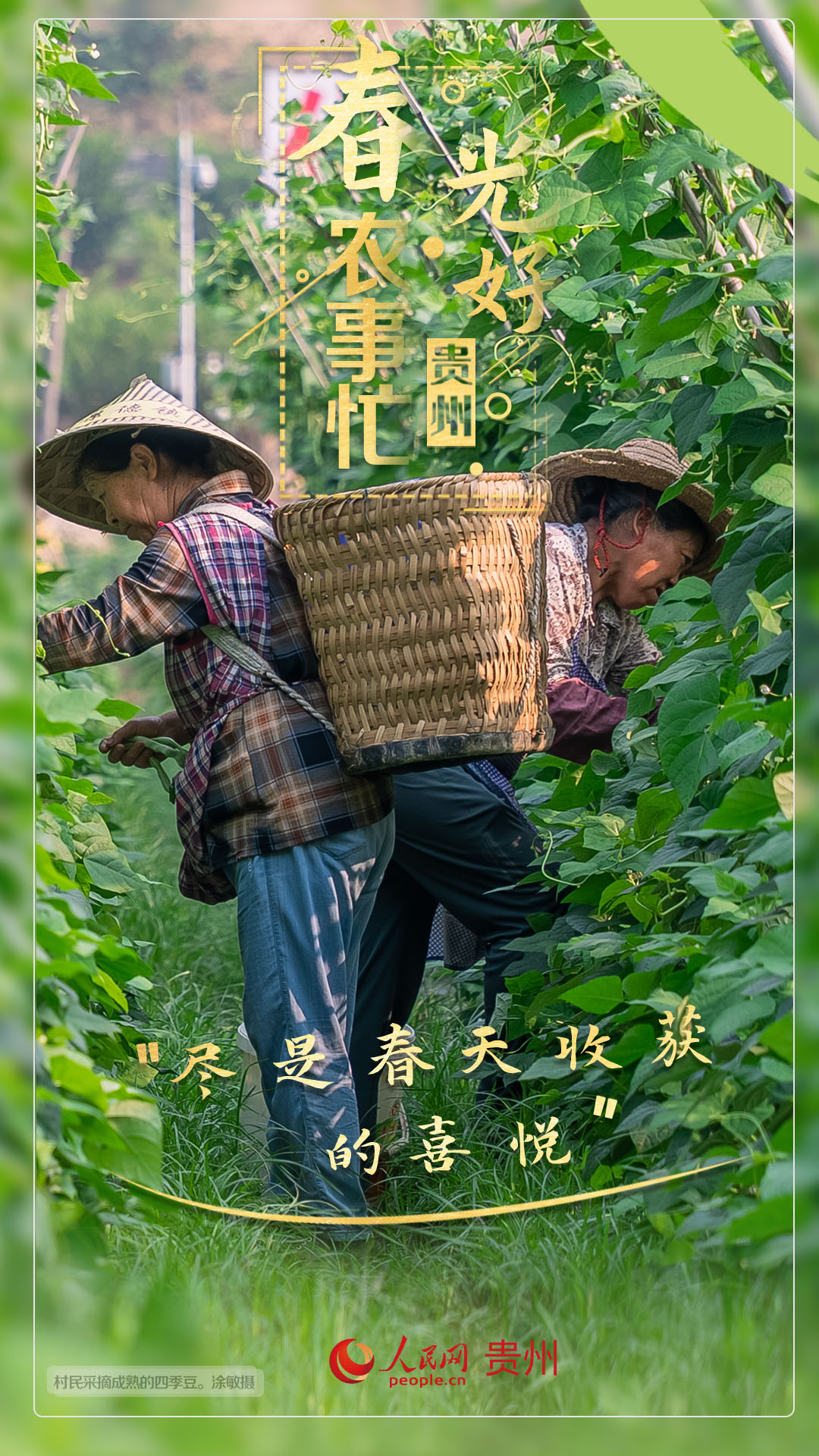 “盡是春天收獲的喜悅”。