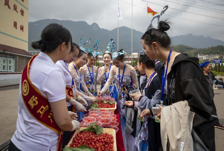 游客品嘗櫻桃。