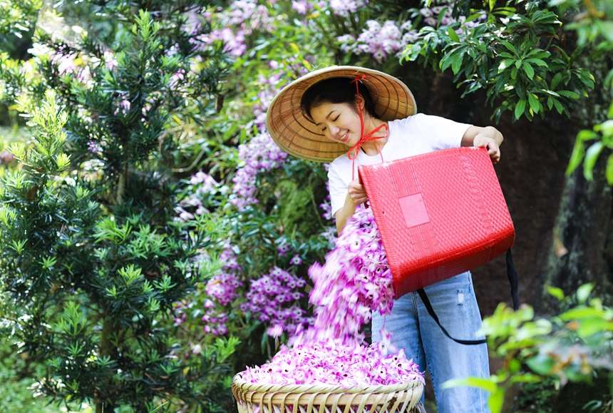 豐收的喜悅。王長育攝