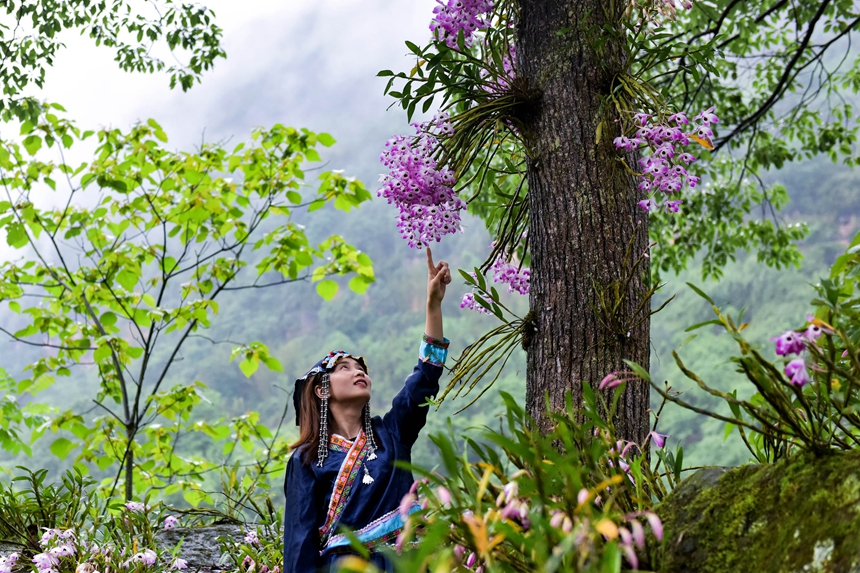花開滿園。王懷茂攝