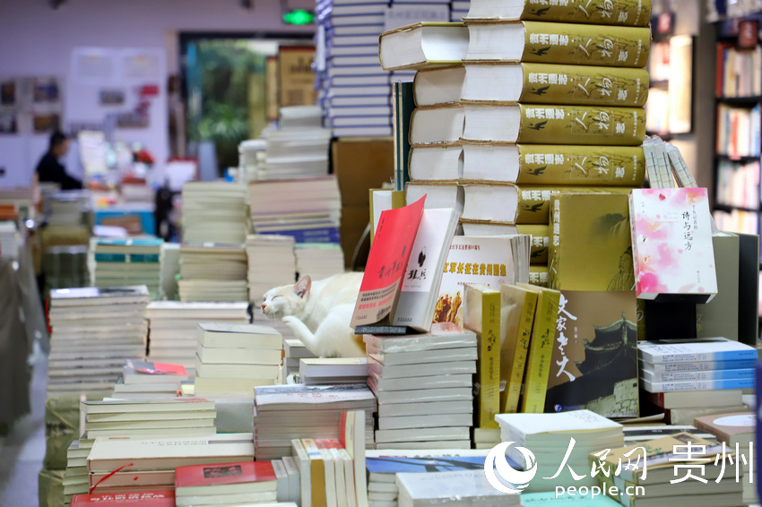 “也閑書局”一角。人民網 顧蘭云攝  