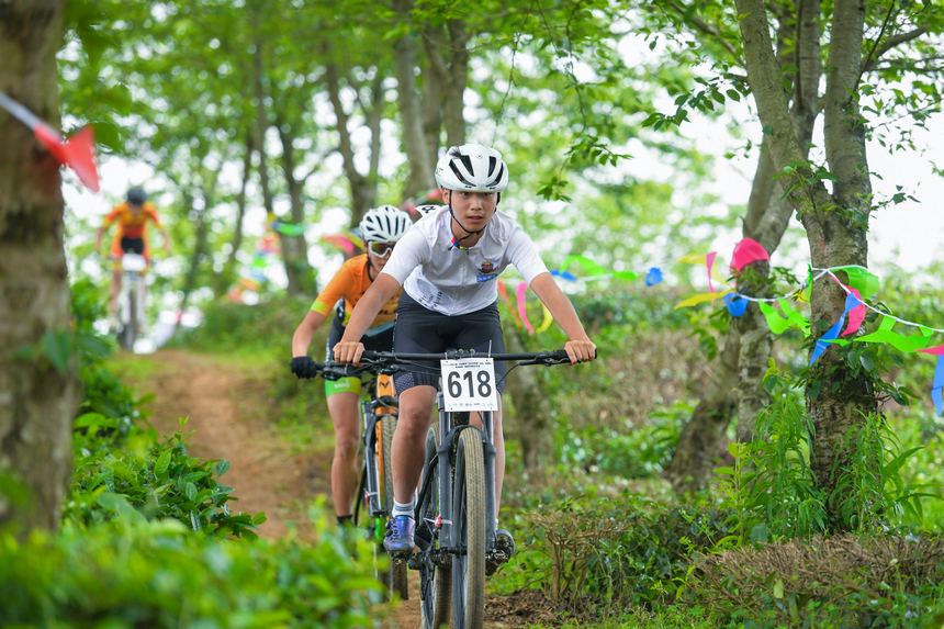 比賽現場。主辦方供圖