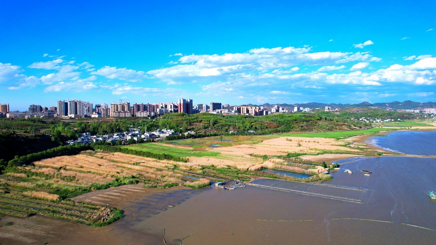 貴州草海國家級自然保護區。王近松攝