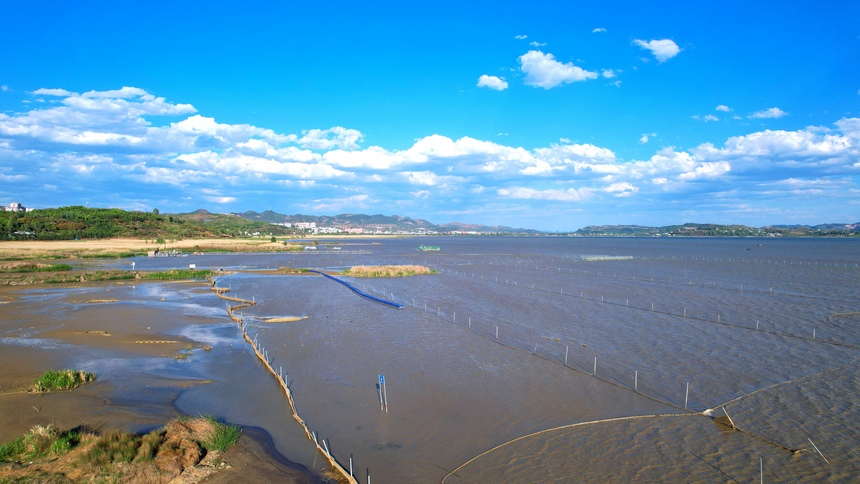 貴州草海國家級自然保護區。王近松攝